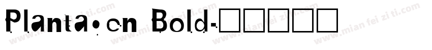 Plantagen Bold字体转换